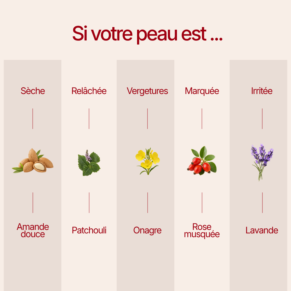 Otae® Huile de Corps